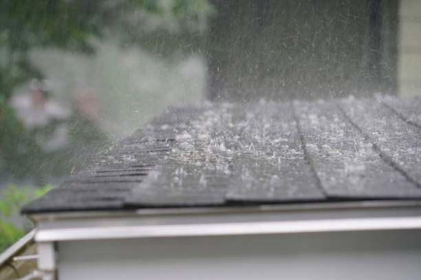 Fast & Reliable Emergency Roof Repairs in Alum Rock, CA