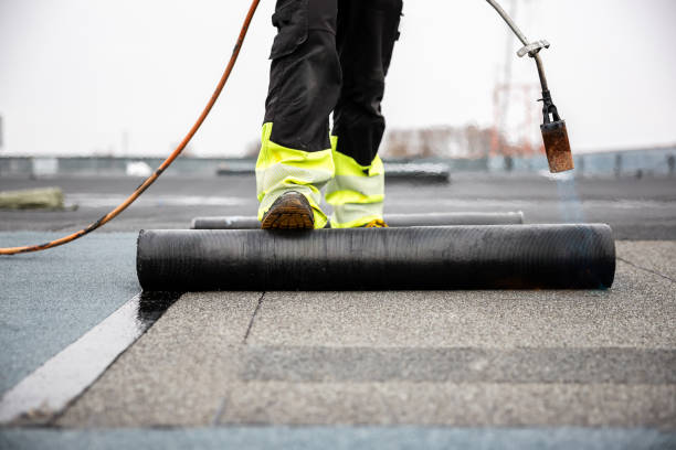 Best Steel Roofing  in Alum Rock, CA